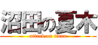 沼田の夏木 (attack on titan)