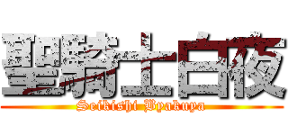 聖騎士白夜 (Seikishi Byakuya)