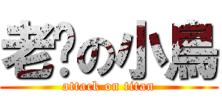 老爸の小鳥 (attack on titan)