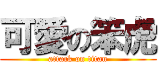 可愛の笨虎 (attack on titan)