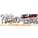 你妹の毛概 (fuck♂on♂mao theory)