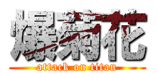 爆菊花 (attack on titan)