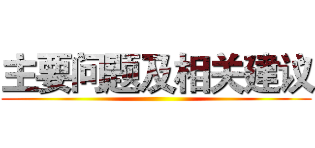 主要问题及相关建议 ()
