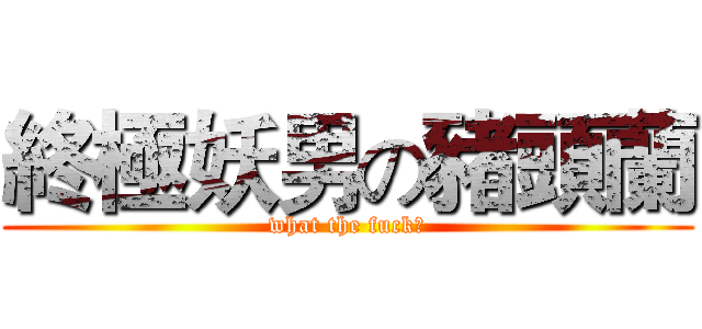 終極妖男の豬頭蘭 (what the fuck！)
