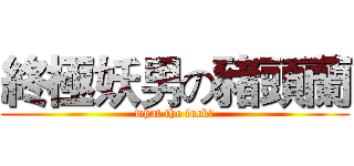 終極妖男の豬頭蘭 (what the fuck！)