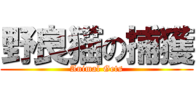 野良猫の捕獲 (Animal Gets)