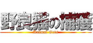 野良猫の捕獲 (Animal Gets)