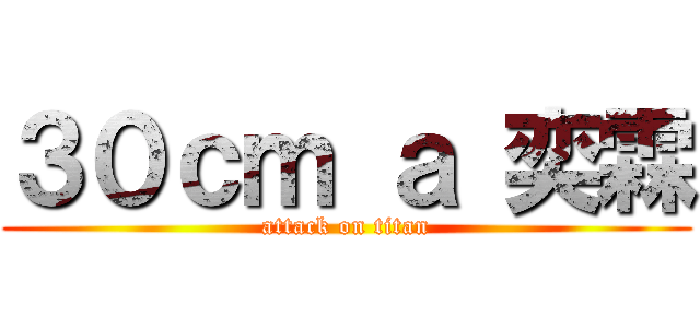 ３０ｃｍ ａ 奕霖 (attack on titan)