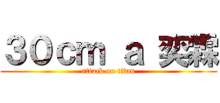 ３０ｃｍ ａ 奕霖 (attack on titan)