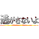 逃がさないよ (attack on titan)