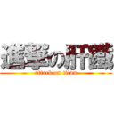 進撃の肝鐵 (attack on titan)