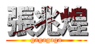 張兆煌 (gagagaga)