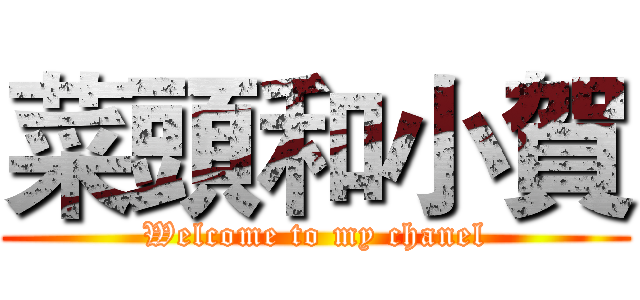 菜頭和小賀 (Welcome to my chanel)