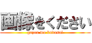 画像をください (gazou wo kudasai)