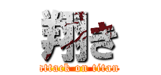 翔き (attack on titan)