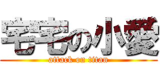 宅宅の小愛 (attack on titan)