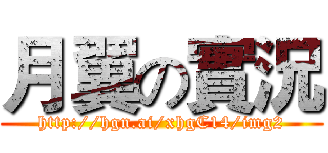 月翼の實況 (http://hgn.ai/xhgC14/img2)