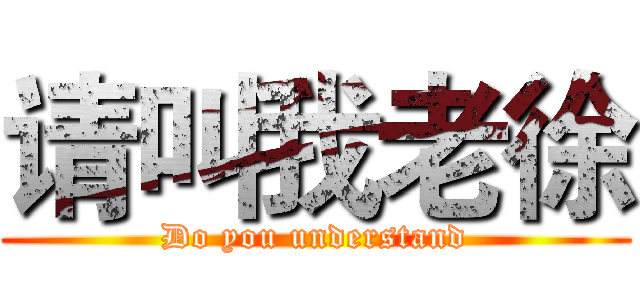 请叫我老徐 (Do you understand)