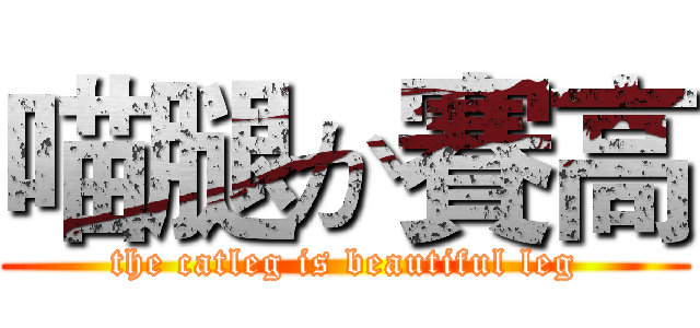 喵腿か賽高 (the catleg is beautiful leg)