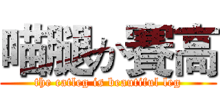 喵腿か賽高 (the catleg is beautiful leg)