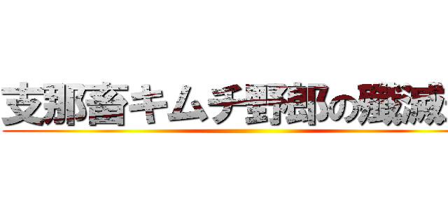 支那畜キムチ野郎の殲滅だ！ ()