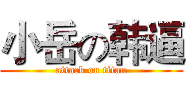 小岳の韩逼 (attack on titan)