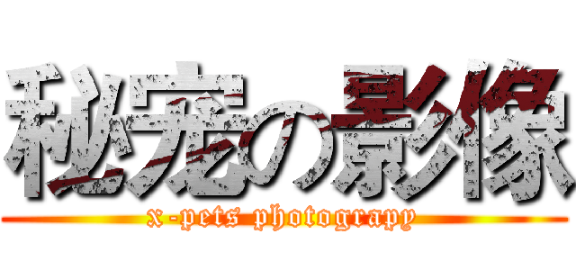 秘宠の影像 (x-pets photograpy)