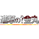 進撃の黃金丸 (attack on titan)