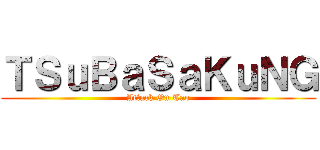 ＴＳｕＢａＳａＫｕＮＧ (Attack On Tao)