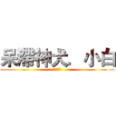 呆滯神犬．小白 (莫名的呆)