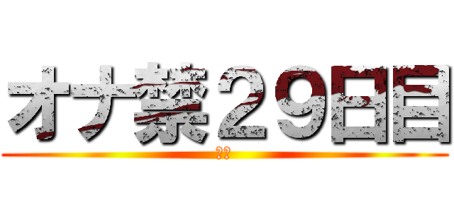 オナ禁２９日目 (禁欲)
