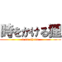 時をかける狸 (n na ahona)