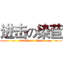 进击の染苣 (attack on titan)