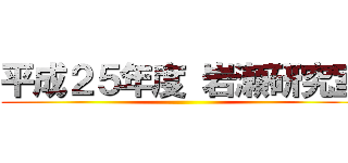 平成２５年度 岩瀬研究室 ()