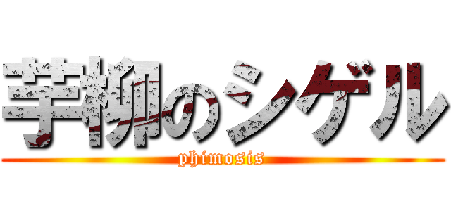 芋柳のシゲル (phimosis)