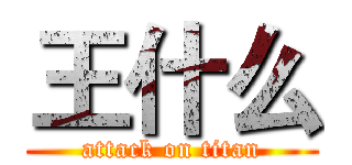 王什么 (attack on titan)