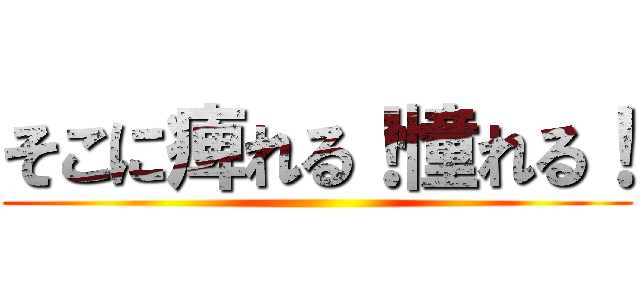 そこに痺れる！憧れる！ ()