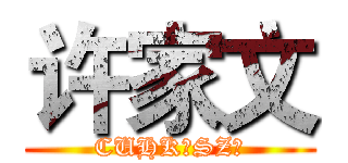 许家文 (CUHK（SZ）)