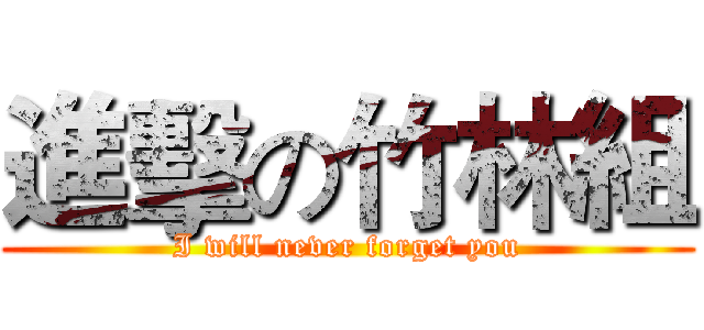 進擊の竹林組 ( I will never forget you )