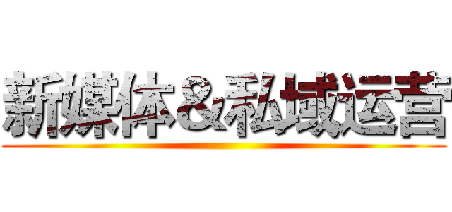 新媒体＆私域运营 ()