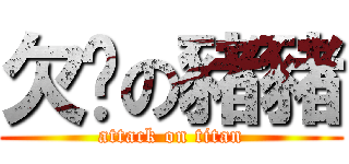 欠揍の豬豬 (attack on titan)