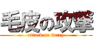 毛皮の攻撃 (attack on furry)