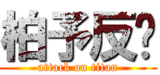 柏予反擊 (attack on titan)