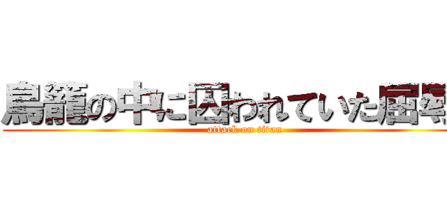 鳥籠の中に囚われていた屈辱を (attack on titan)