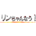 リンちゃんなう！ (（＾ω＾ ≡ ＾ω＾）おっおっおっ)