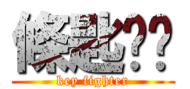 條匙呢屌 (key fighter)