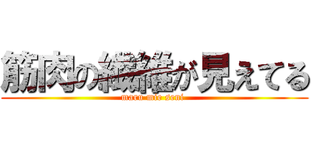 筋肉の繊維が見えてる (maru mie seni )