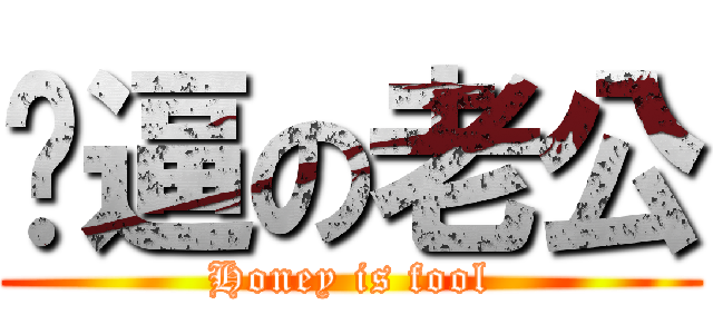 傻逼の老公 (Honey is fool)