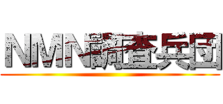ＮＭＮ調査兵団 ()