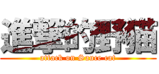 進撃的野猫 (attack on Sauce cat)
